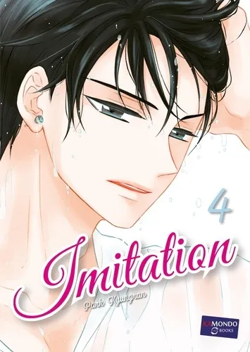 Imitation T04