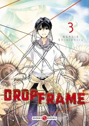 Drop Frame T3