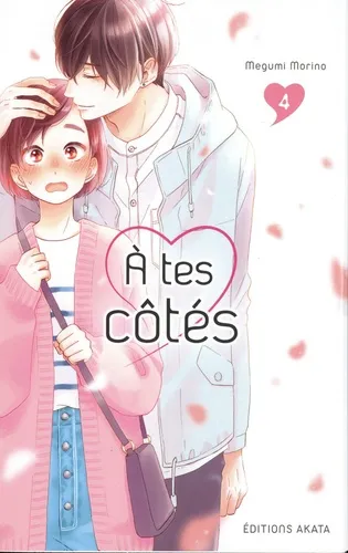 A Tes Cotes T04