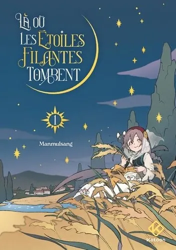 La Ou Les Etoiles Filantes Tombent T01