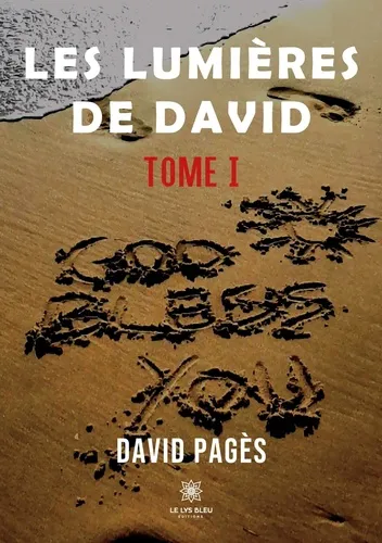 Les Lumieres De David Tome I