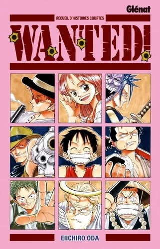 One Piece Wanted