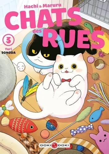 Hachi & Maruru Chats Des Rues T03
