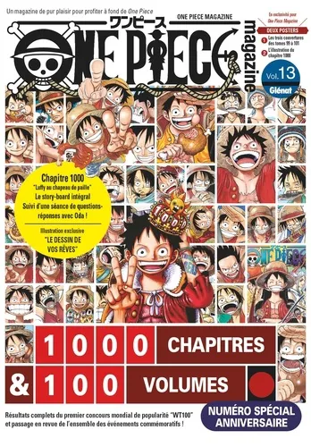 One Piece Magazine T13