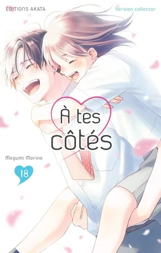 A Tes Cotes T18 Collector