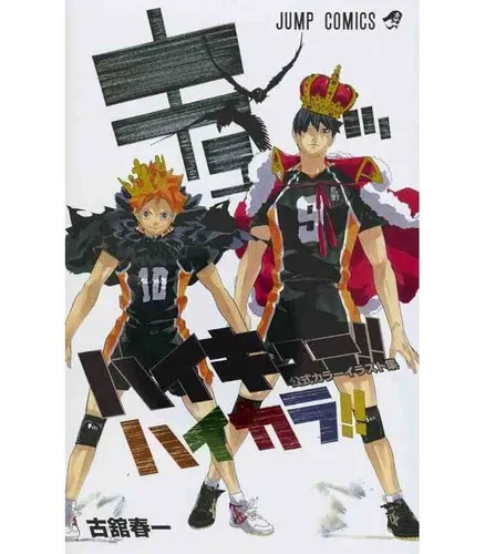 Haikyu !! Collection Officielle D'illustrations En Couleurs Haikal !! Haikyu !! Collection Officielle D'illustrations En Couleurs Haikal !!
