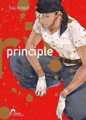Principle Principle