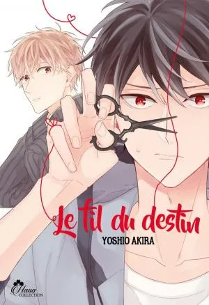 Le Fil Du Destin Le Fil Du Destin