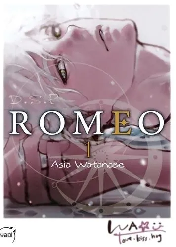 D.s.p Romeo T01