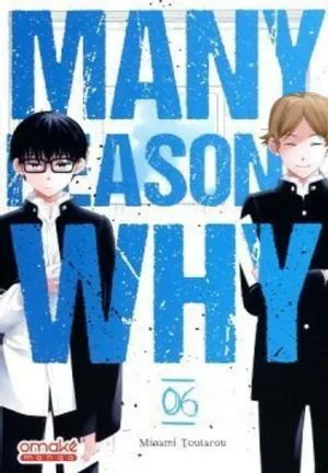 Many Reasons Why T06