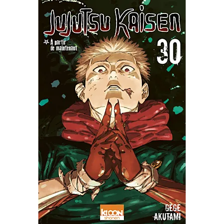 Jujutsu Kaisen T30 Jujutsu Kaisen T30