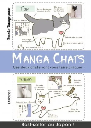 Manga chats T1