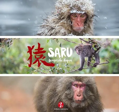 Saru - Singe Du Japon