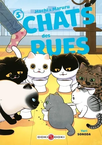 Hachi & Maruru Chats Des Rues T05