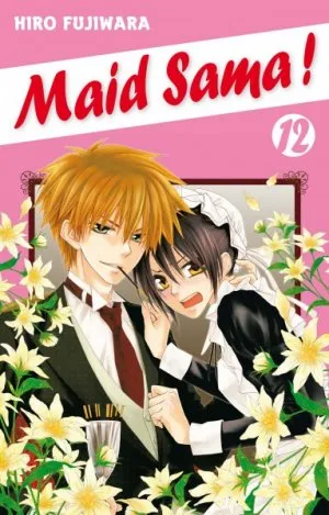 Maid Sama! T12